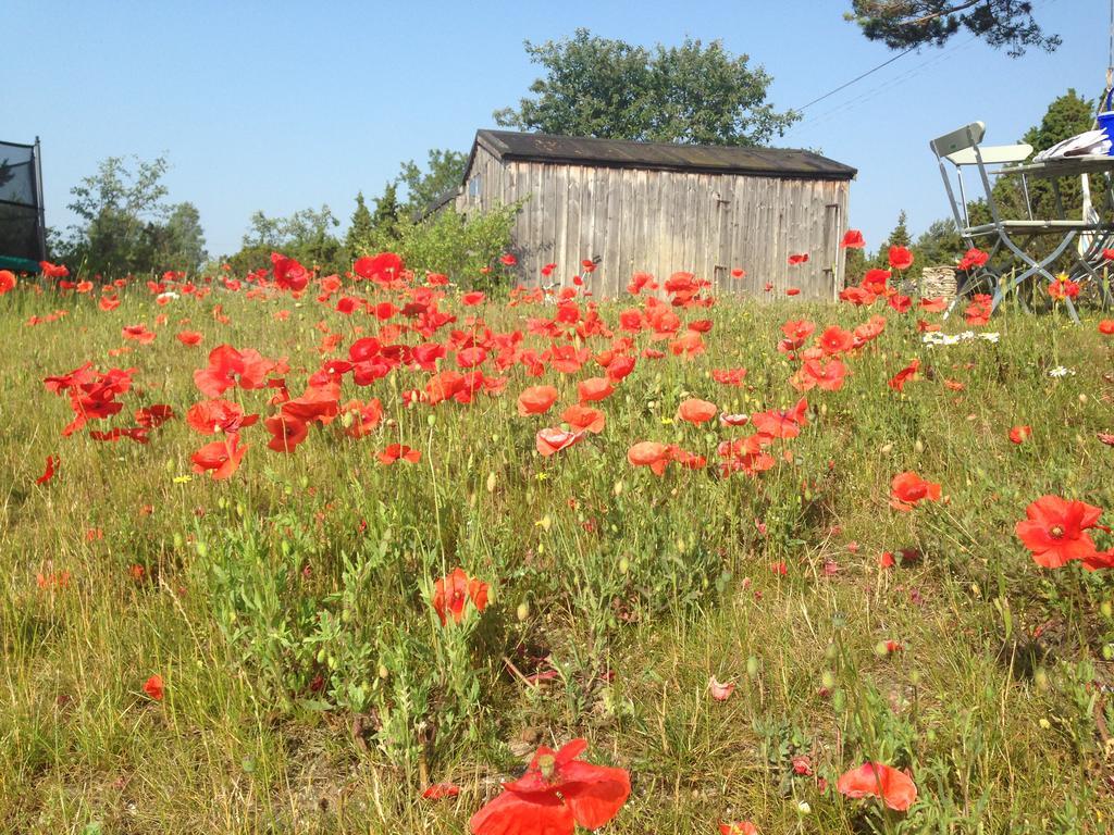 Farogarden Bed & Breakfast Zewnętrze zdjęcie